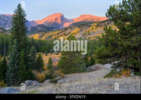 Herbstlandschaft von Hallett Park mit goldenem Laub am frühen Morgen, Rocky Mountain National Park, Colorado, USA. Stockfoto