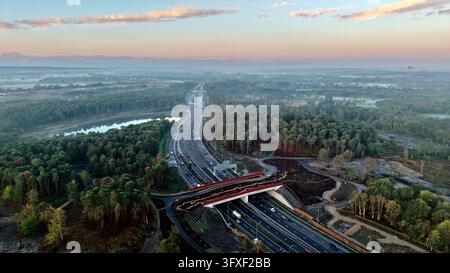 Luftbilddrohnenaufnahme der neuen grünen Wildtierbrücke über die A3 und des umliegenden Waldlandes von Surrey, England Stockfoto