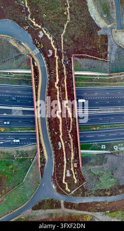 Luftaufnahme von oben der Cockcrow-Heidebrücke über die A3 in Wisley, Surrey, England Stockfoto