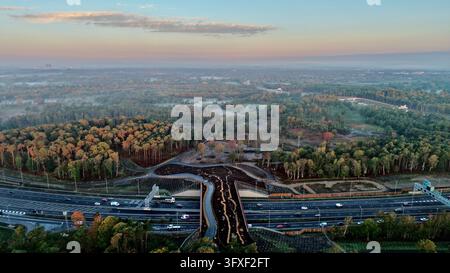 Luftbilddrohnenansicht einer neuen Heidekreuzung über der A3 durch Wisley Common in Surrey, England Stockfoto