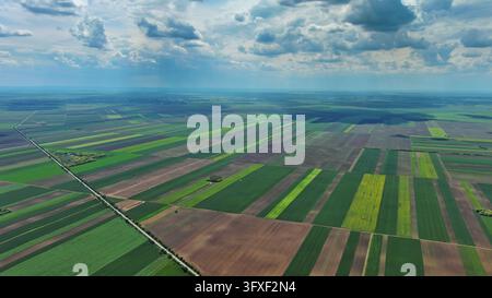 Luftbild von grünen landwirtschaftlichen Feldern und Ackerland Stockfoto
