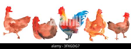 Aquarell-Set mit fünf Hofhühnern, wobei sich ein Hahn in der Herde abhebt. Ideal für Verpackungen von frischen Bauernhofeiern, Geflügel-Logo-Design, Bauern m Stockfoto