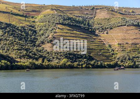 Ervedosa do Douro, Viseu, Portugal Stockfoto