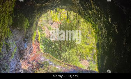 Blick aus einer moosigen Felsenhöhle nach draußen in einen üppigen grünen Wald, natürliche Fensterlandschaft. Stockfoto