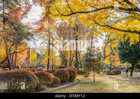 Eine Parkszene mit leuchtend gelben Gingkobäumen und rotem Laub, die ein historisches rotes Backsteingebäude unter einem hellen Himmel umgibt. Stockfoto