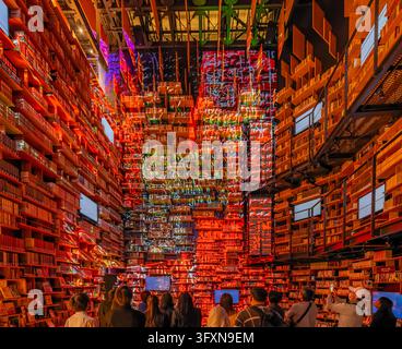 Tokio, Japan, 22. NOV 2024 - Eine Menschenmenge steht in einer abgedunkelten Halle und beobachtet eine massive, mehrstöckige Installation von Bücherregalen, die von v Stockfoto