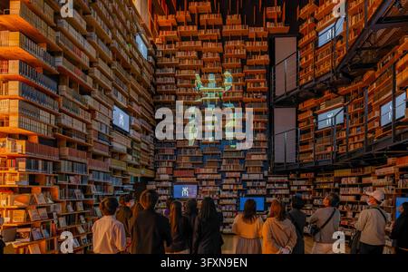 Tokio, Japan, 22. NOV 2024 - Eine Gruppe von Menschen steht mit dem Rücken zur Kamera und blickt auf eine massive, mehrstöckige Wand aus Holzregalen Stockfoto