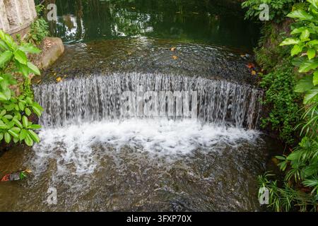 Kristallklares Wasser fließt sanft über einen Steinwehr in einen ruhigen Teich und schafft so einen friedlichen natürlichen Rückzugsort in einer grünen Parklandschaft. Stockfoto