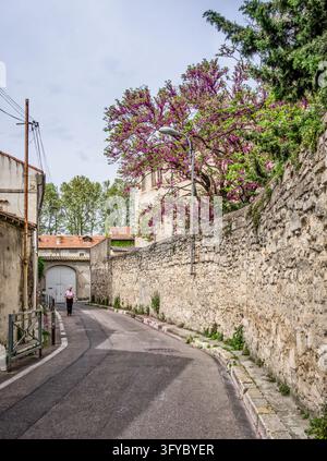 Avignon, Frankreich, 11. April 2026, Frau geht auf der Rue de L'observance, die sich im Herzen des Stadtzentrums innerhalb der mittelalterlichen Mauern befindet Stockfoto