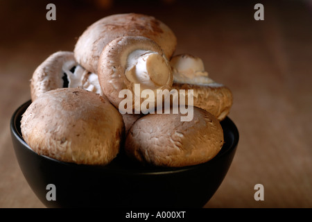 Maronen Pilze in Schüssel Stockfoto