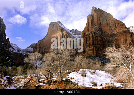 Reisen und Tourismus. Zion Nationalpark, Utah. Stockfoto