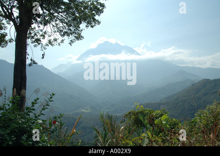 Mount Kinabalu, Sabah, Borneo, den nebligen Morgen Stockfoto