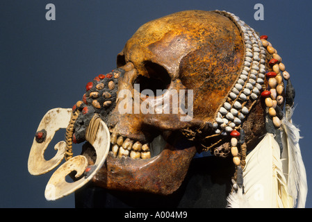 Papua-Neu-Guinea Schädel Schädel Hirn Schwenken des Todes Kopf Schädel Zauberei Hexerei Magie Stockfoto