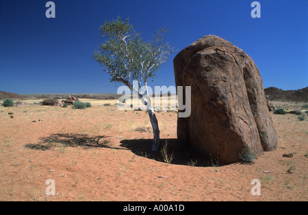 Wüste-Baum im Schatten von Felsen Namibia 2000 Stockfoto