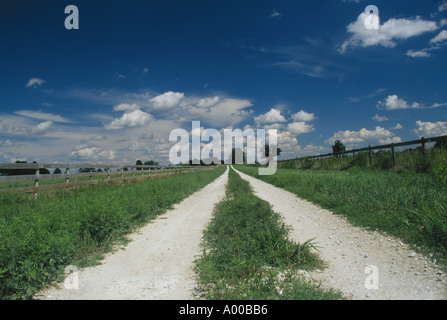 Ländliche land Schotterpiste führt in die Ferne im Sommer Felder entlang Zauns, Missouri, USA Stockfoto