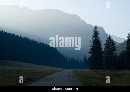 Koscieliska-Tal bei Dämmerung, Tatra-Gebirge in Polen Stockfoto