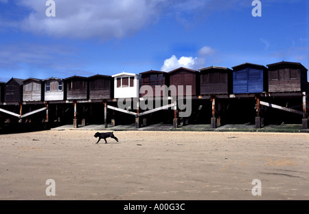 Strandhütten, Frinton-on-Sea, Essex, UK. Stockfoto