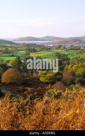 Herbst Hügellandschaft in der Nähe von Colvend an der Solway Firth-Küste mit Blick auf Hestan Insel National Scenic Area Schottland UK Stockfoto