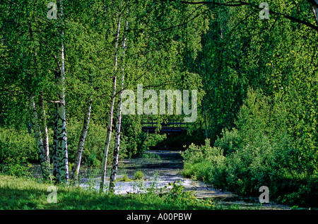 LANDSCHAFT-KOSTROMA-RUSSLAND Stockfoto
