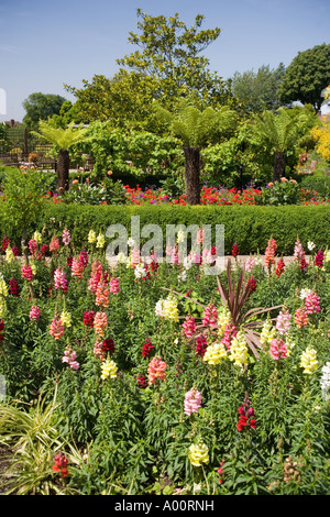 Blume Garten Golders Hill Park London England Stockfoto