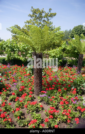 Blume Garten Golders Hill Park London England Stockfoto