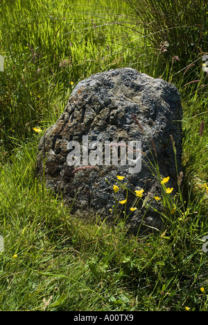 dh Battle Field Clans Grave CULLODEN MOOR INVERNESSSHIRE Schottischer Aufstand 1745 Rebellion gemischten Clan Grabstein auf dem Schlachtfeld Standort jacobite schottland Stockfoto