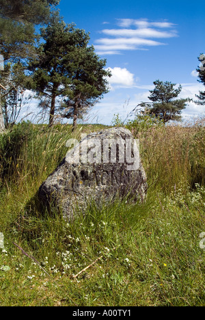 dh Culloden Battlefield CULLODEN MOOR INVERNESSSHIRE Grabstein des Mackinnon-Clans auf dem Schlachtfeld 1746 in schottland grabstätte der jakobitischen Rebellion Stockfoto