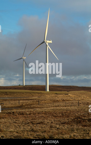 dh Burgar Hill Orkney ELEKTRIZITÄT UK NEG Mircon Windenergieanlagen Thorfinn Windfarm Turbinenpark schottland Windturbinen grüner Strom erneuerbare Energie Stockfoto