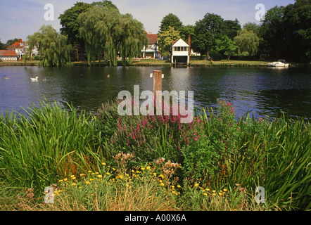 England Berkshire Fluss Themse Cookham am Flussufer Häuser und Boote Stockfoto