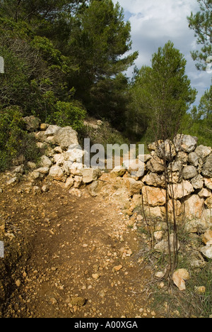 dh BARRANC DE BINIGAUS MENORCA Fußweg durch Kalkstein Schlucht Tal Wald Stockfoto