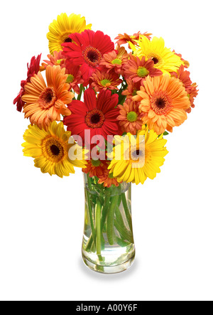 Vase mit Blumen Stockfoto