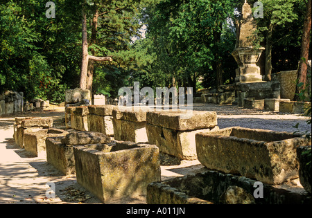 ARLES PROVENCE FRANKREICH ALYSCAMPS NEKROPOLE Stockfoto