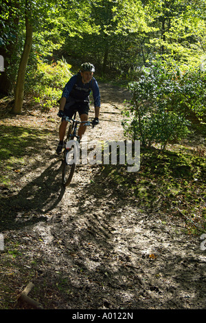 Mountainbiker im Epping Forest Stockfoto