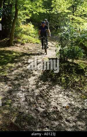 Mountainbiker im Epping Forest Stockfoto