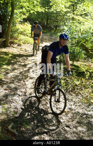 Mountainbiker im Epping Forest Stockfoto