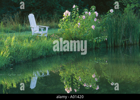 Eine ruhige Szene - Adirondack Stuhl und Hibiskusblüten spiegelt sich im Teich, Missouri USA Stockfoto