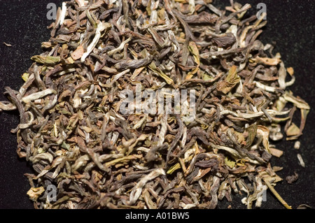 Hochwertige getrocknete Darjeeling-Teeblätter aus nächster Nähe, die die feine Textur und die vielfältigen Farben des Premium-Tees mit losen Blättern in Szene setzen. Stockfoto