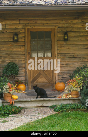Informelle Veranda auf Holzhaus für Halloween und Herbst zieren kleine schwarze Katze Blick auf Hof Stockfoto
