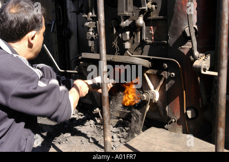Feuerwehrmann schaufelt Kohle in die Feuerbox des berühmten Darjeeling Spielzeugzugs in Westbengalen, Indien. Dampflokomotivbetrieb in Asien. Stockfoto