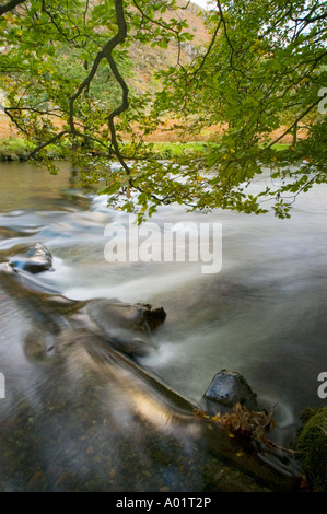 Blick über den Fluss, Snowdonia-Nationalpark, Wales, UK Stockfoto