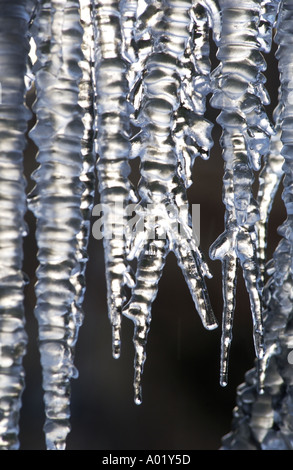 EISZAPFEN AN EINEM BRUNNEN IN DEN STADTPARK IN KETTERING NORTHAMPTONSHIRE UK PIC VON JOHN ROBERTSON Stockfoto