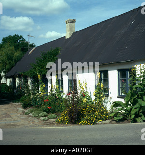 Gelbe Alcea im Garten Grenze vor einstöckiges Landhaus Stockfoto