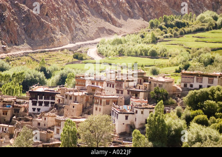 Traditionelles Ladakhi-Haus und grüne Gerstenfelder in den Vororten der Stadt Leh, Indien. Wüstendorf in großer Höhe im Himalaya. Stockfoto