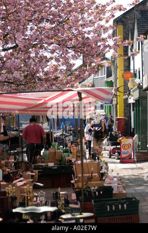 wöchentliche Straße Markt an einem Mittwochnachmittag Machynlleth, Powys Mitte Wales UK - zur Zeit der Kirschblüte im Frühjahr Stockfoto