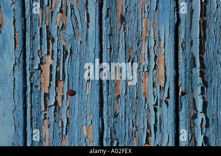 abblätternde blaue Farbe auf der Seite eine Holzhütte Stockfoto