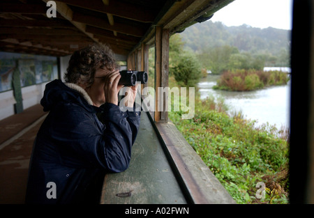 Eine Frau Vogelbeobachtung im Arundel Wildfowl and Wetlands Centre Stockfoto