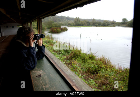 Eine Dame-Vogelbeobachtung in Arundel Wildfowl and Wetlands Centre UK Stockfoto