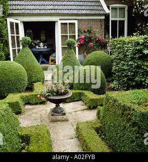 Kleiner Hof durch französische Fenster mit eine Fuchsie in eine steinerne Urne mit niedrigen Kasten Hedge-Betten mit großen Kasten Hecke umgeben Stockfoto