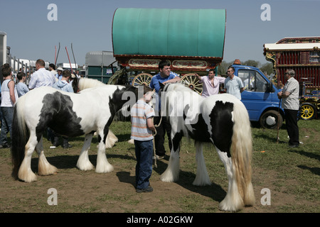 Die Pferdemesse die zweimal jährlich in den Cotswolds Stadt Stow gehalten wird, auf die würde Stockfoto