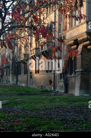 Magdalen College St Swithuns Gebäude im Herbst Stockfoto